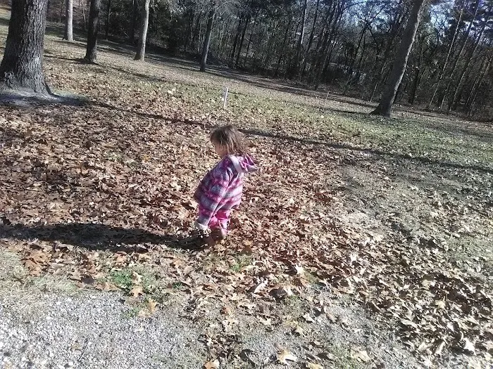 Anytime Rv Park Picture 8