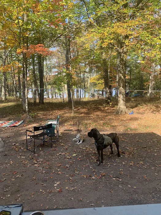Perrault Lake Campground Picture 6