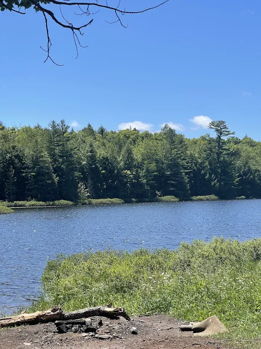 Perrault Lake Campground Picture 5