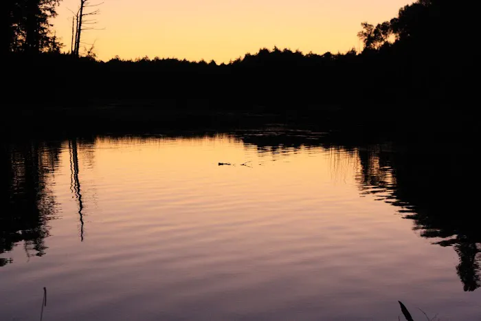 Bass Campground Picture 2