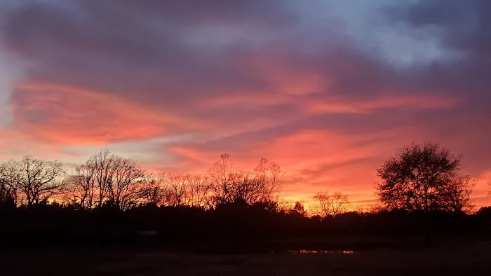 Roadrunner Acres RV Ranch Picture 6