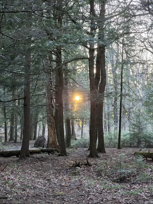 Birch Campground Picture 3