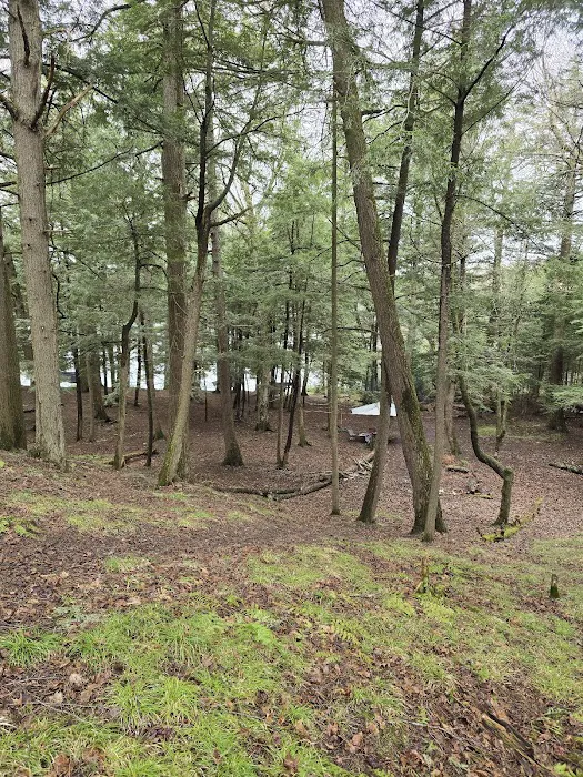 Birch Campground Picture 1