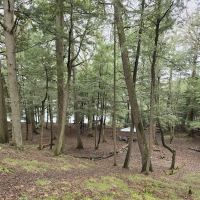 Birch Campground ico