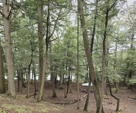 Birch Campground