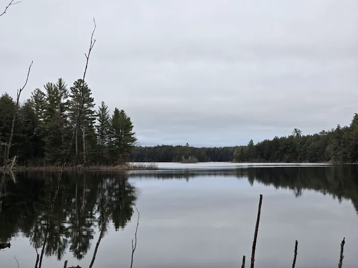 Birch Campground Picture 6