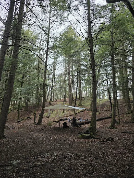 Birch Campground Picture 9
