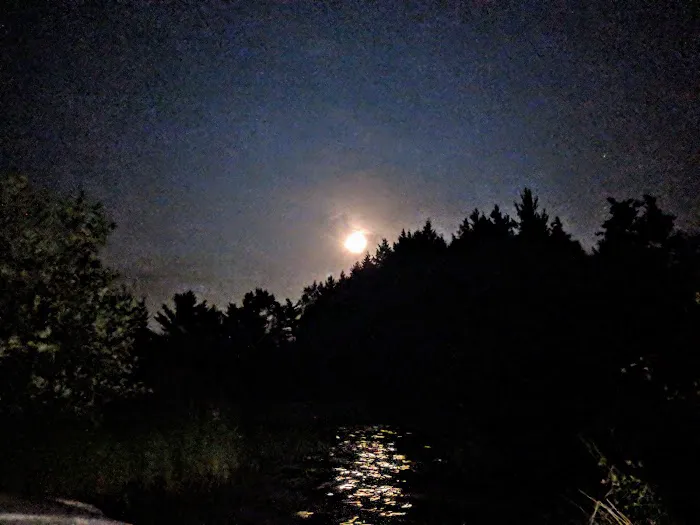 Pine Campground Picture 5