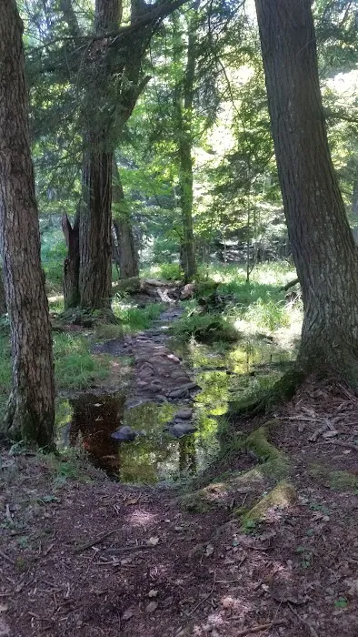 Balsam Campground Picture 1