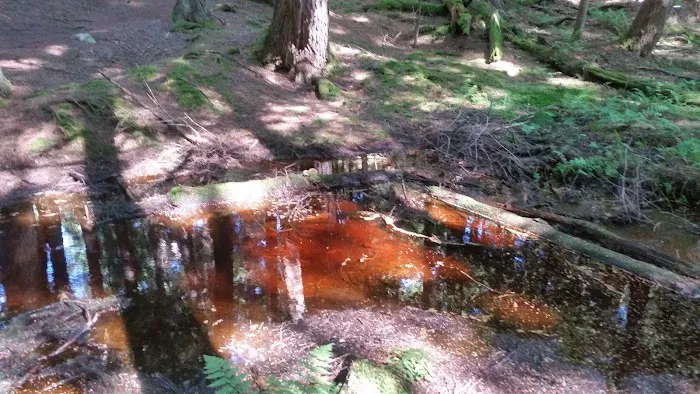 Balsam Campground Picture 3