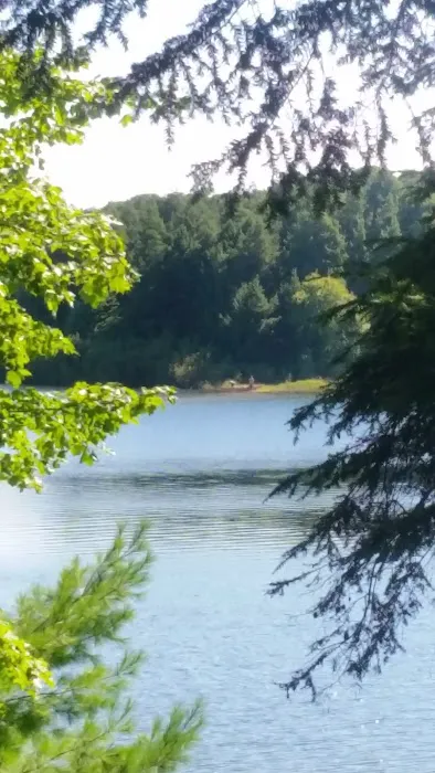 Balsam Campground Picture 2