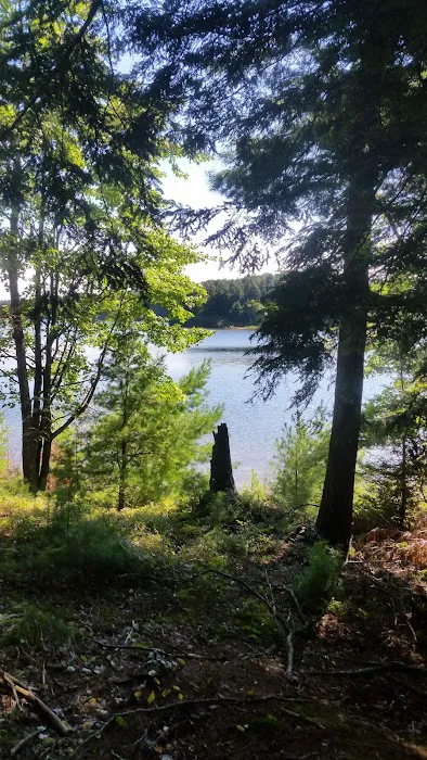Balsam Campground Picture 8