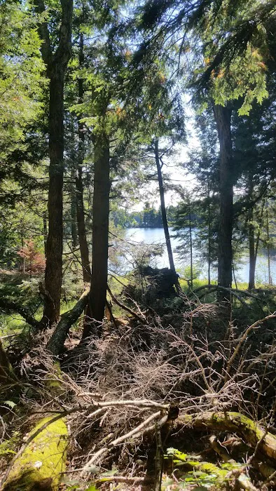 Balsam Campground Picture 7