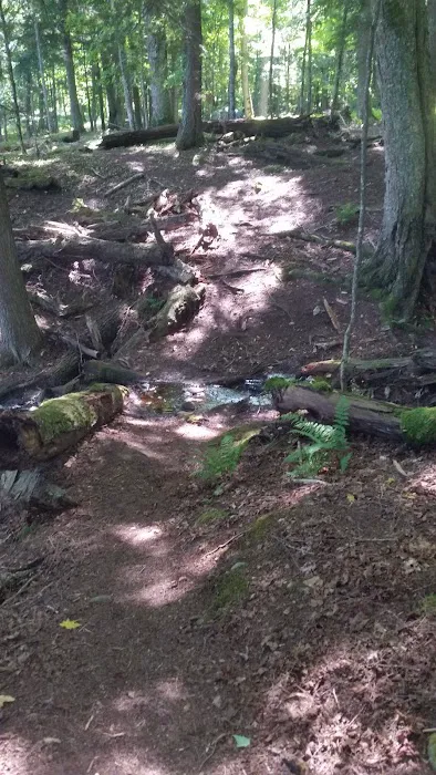 Balsam Campground Picture 9