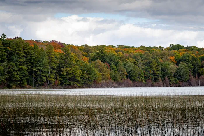 West Star Lake Campground Picture 2