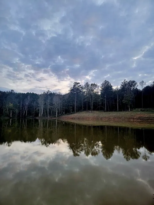 Barnwell Mountain Cabins and RV Park Picture 4