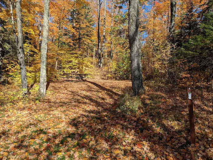 Bobcat Lake Campground Picture 2