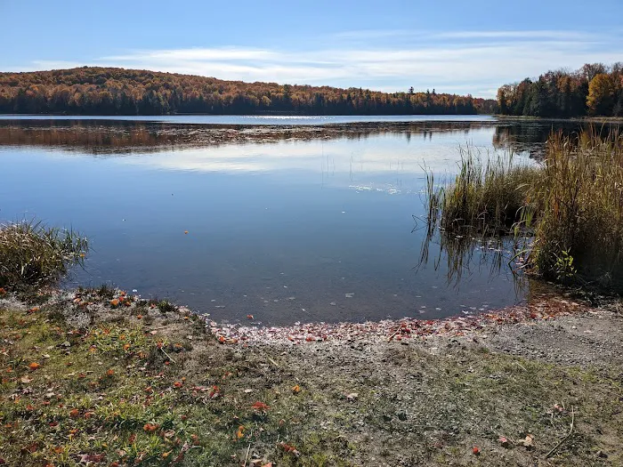 Bobcat Lake Campground Picture 3