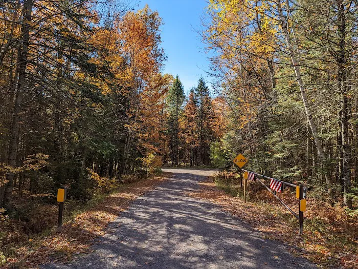 Bobcat Lake Campground Picture 5
