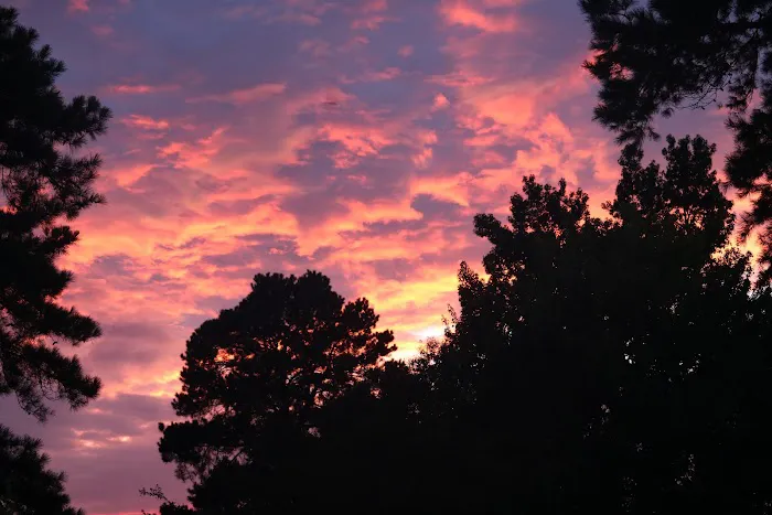 Four Oaks RV Park Picture 6