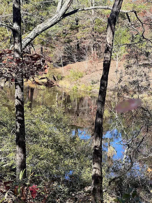 Cascading Falls RV Park Picture 9