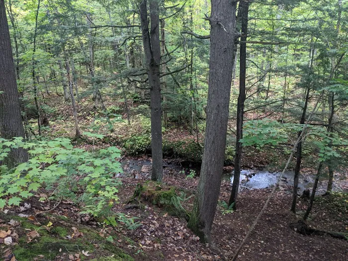 Lost Creek Outpost Campground Picture 7