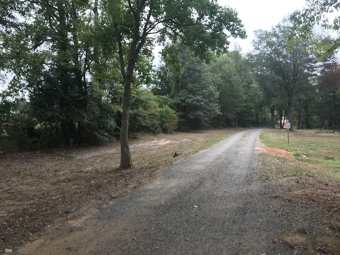 RV Life RV Park and Cabins Picture 2