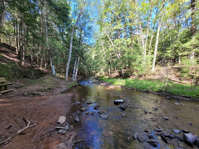 Union River Outpost Campground Picture 5