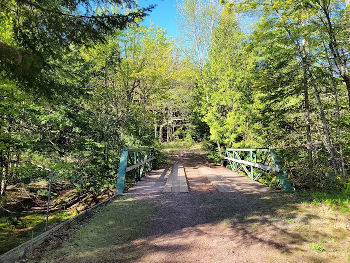 Union River Outpost Campground Picture 7