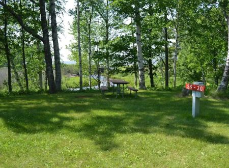 Union River 'Big Bear' Campground