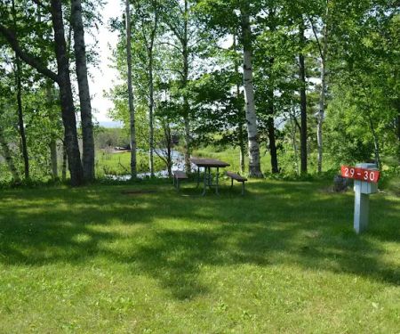 Union River 'Big Bear' Campground