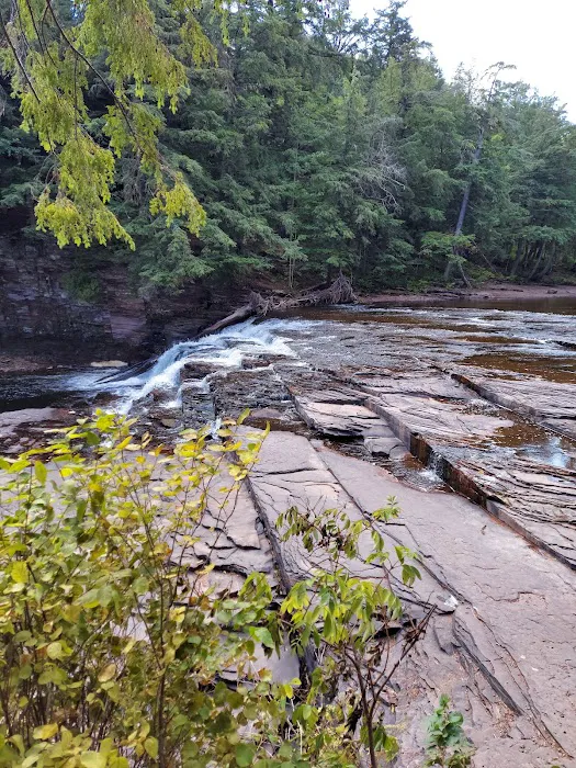Union Bay Campground Picture 8