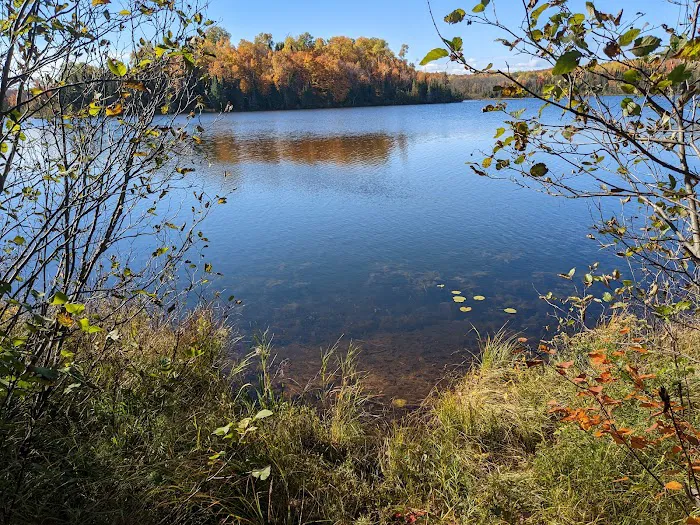 Moosehead Lake Campground Picture 5