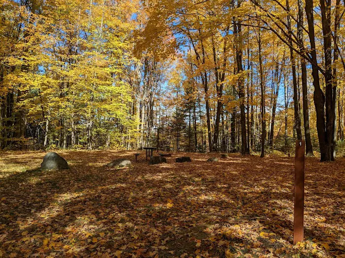 Moosehead Lake Campground Picture 10