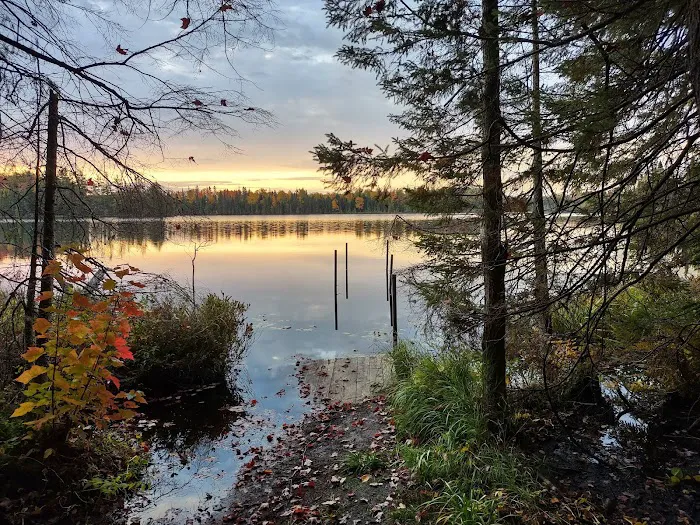 Henry Lake Campground Picture 2