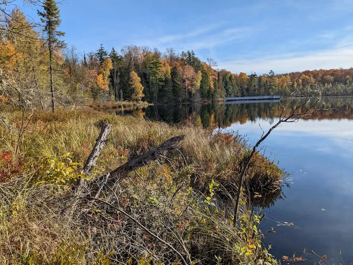 Henry Lake Campground Picture 4