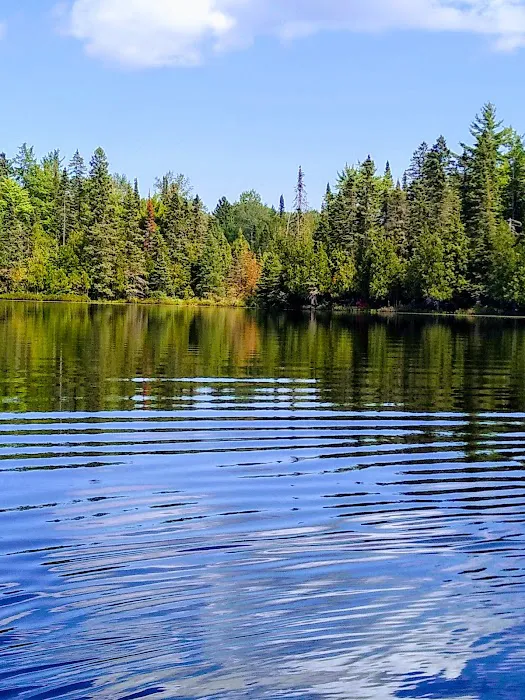 Henry Lake Campground Picture 6