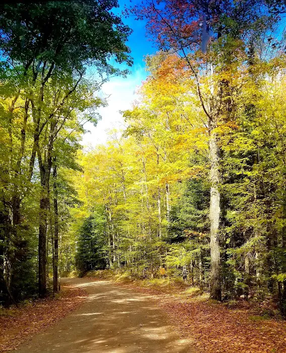 Presque Isle Campground Picture 10