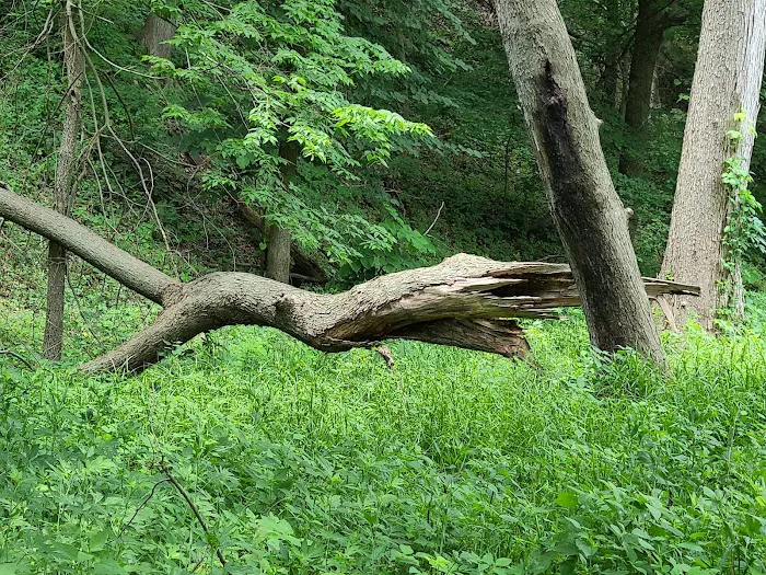 Ivan's Recreation Area Picture 3