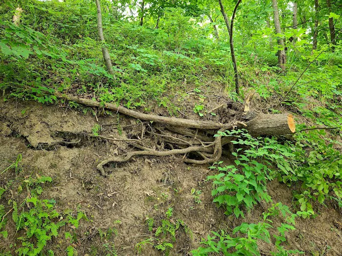 Ivan's Recreation Area Picture 2