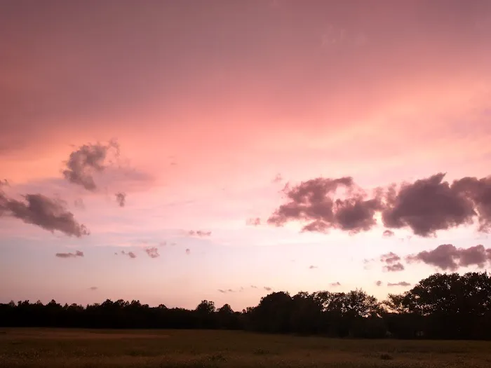 Wild Horse RV Park Picture 1