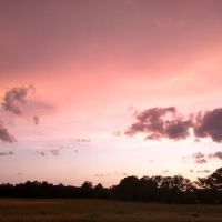 Wild Horse RV Park ico