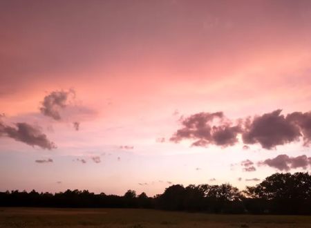 Wild Horse RV Park