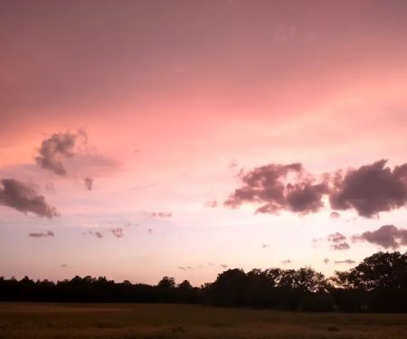 Wild Horse RV Park