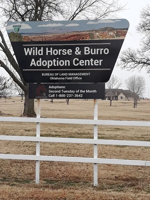Wild Horse RV Park Picture 8
