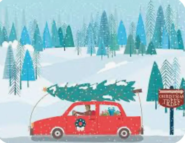 Wilson Christmas Tree Farm and RV Park Picture 5