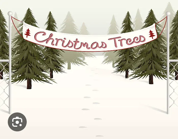 Wilson Christmas Tree Farm and RV Park Picture 10