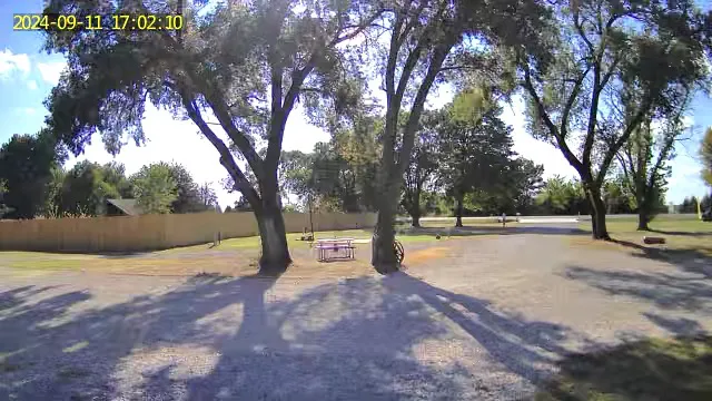 L’Lees rv park and paddocks Picture 1