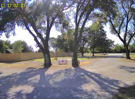 L’Lees rv park and paddocks