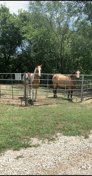 L’Lees rv park and paddocks Picture 4